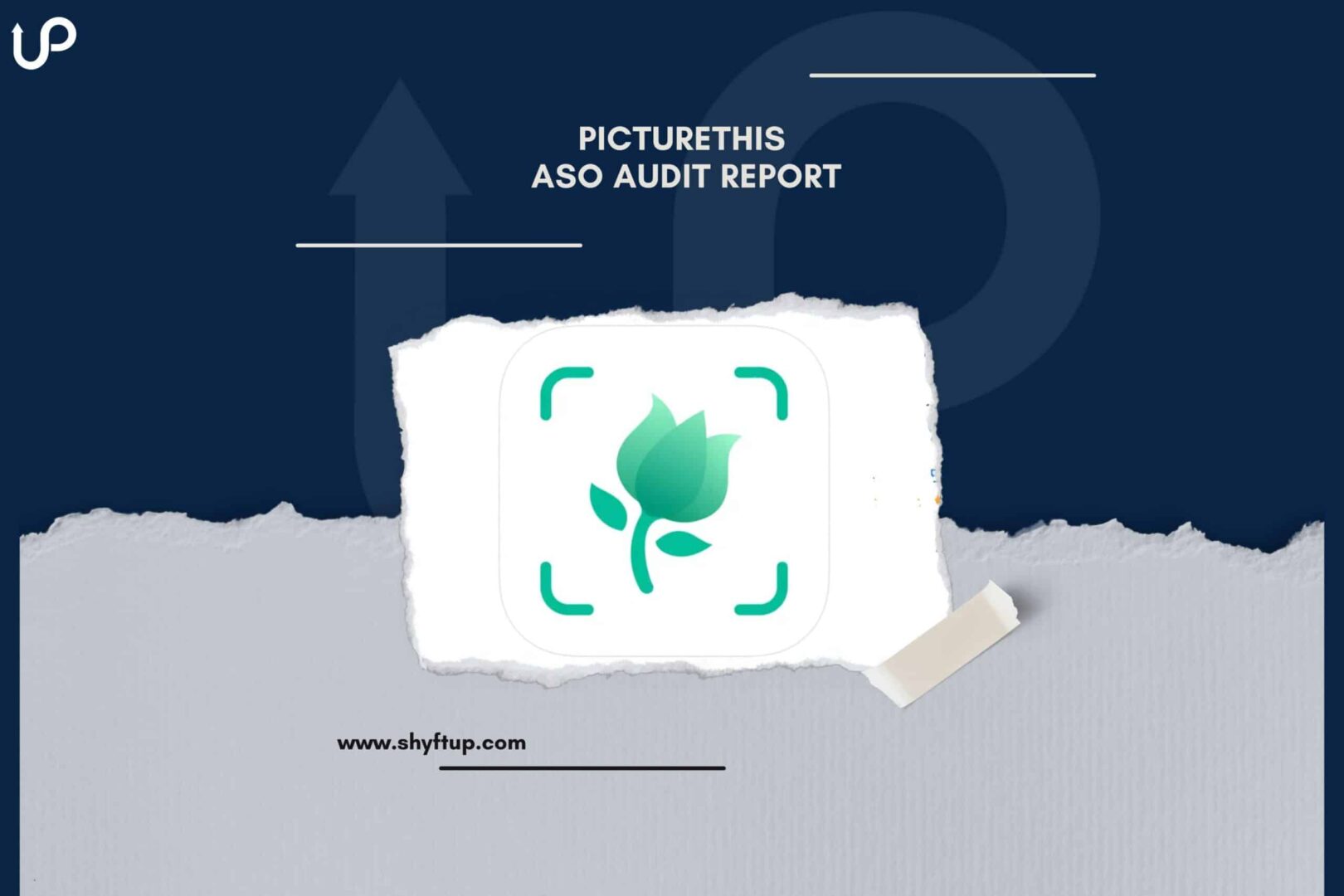 PictureThis ASO Audit Report